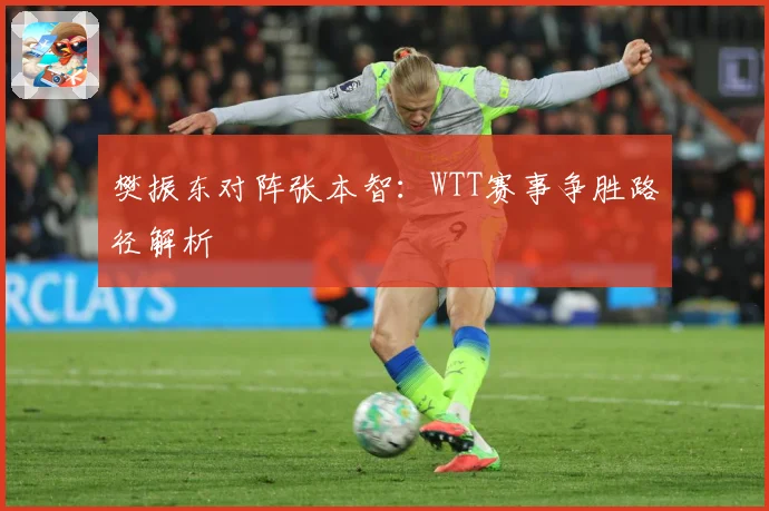 樊振东对阵张本智：WTT赛事争胜路径解析