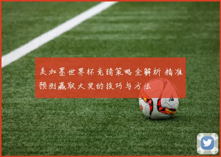 美加墨世界杯竞猜策略全解析 精准预测赢取大奖的技巧与方法