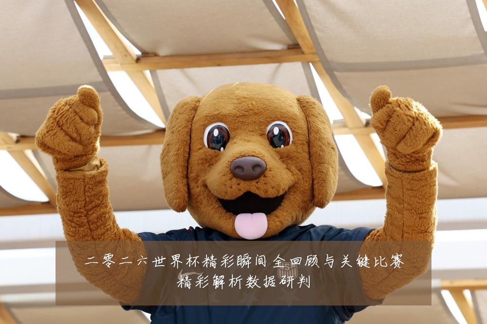 二零二六世界杯精彩瞬间全回顾与关键比赛精彩解析数据研判