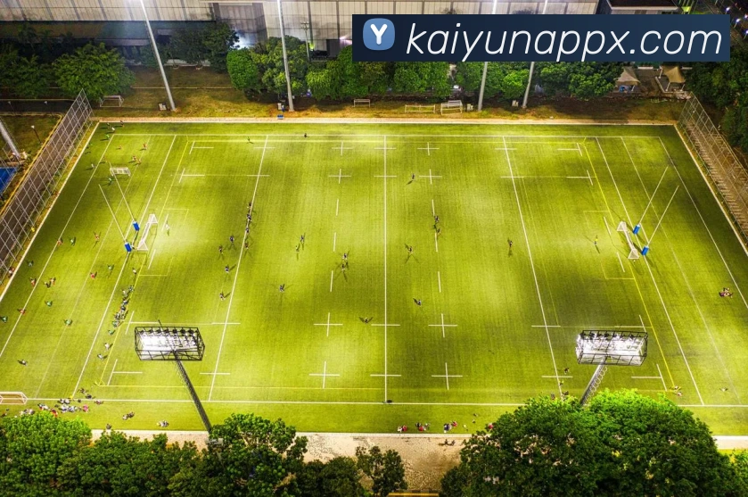 开云平台展示图